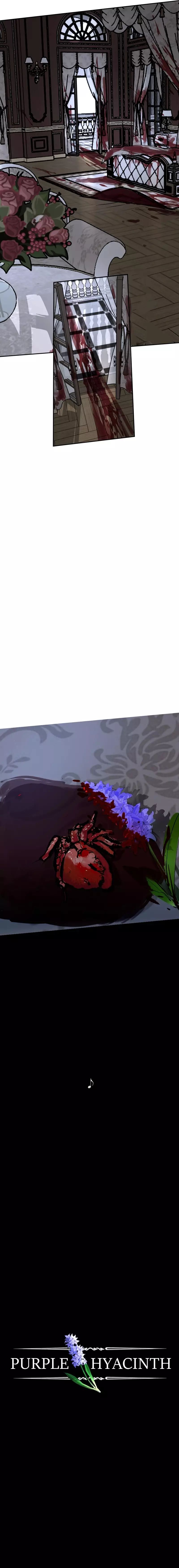 Hoa Lục Bình Tím Chapter 149 - Trang 2