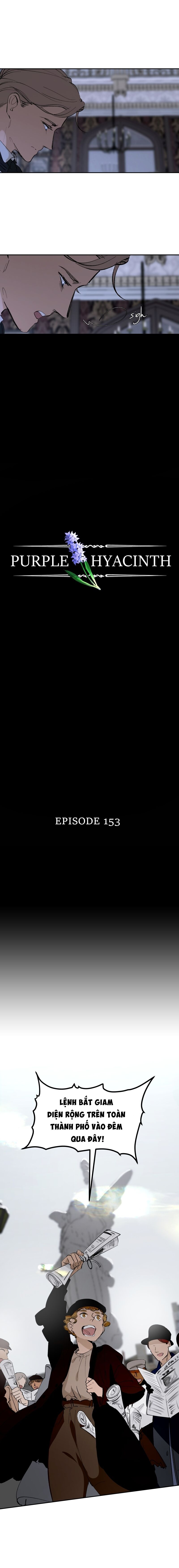 Hoa Lục Bình Tím Chapter 153 - Trang 2