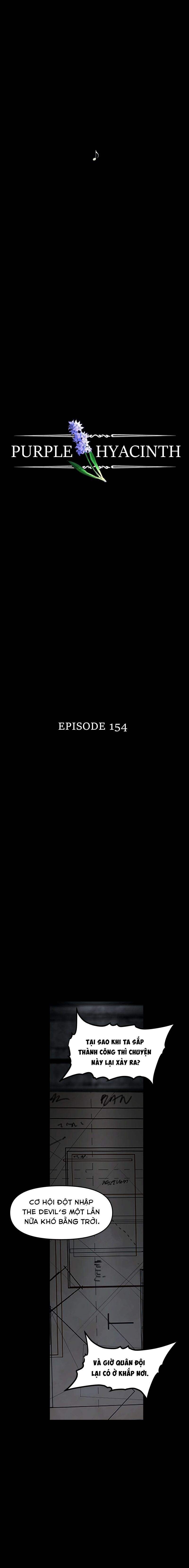 Hoa Lục Bình Tím Chapter 154 - Trang 2
