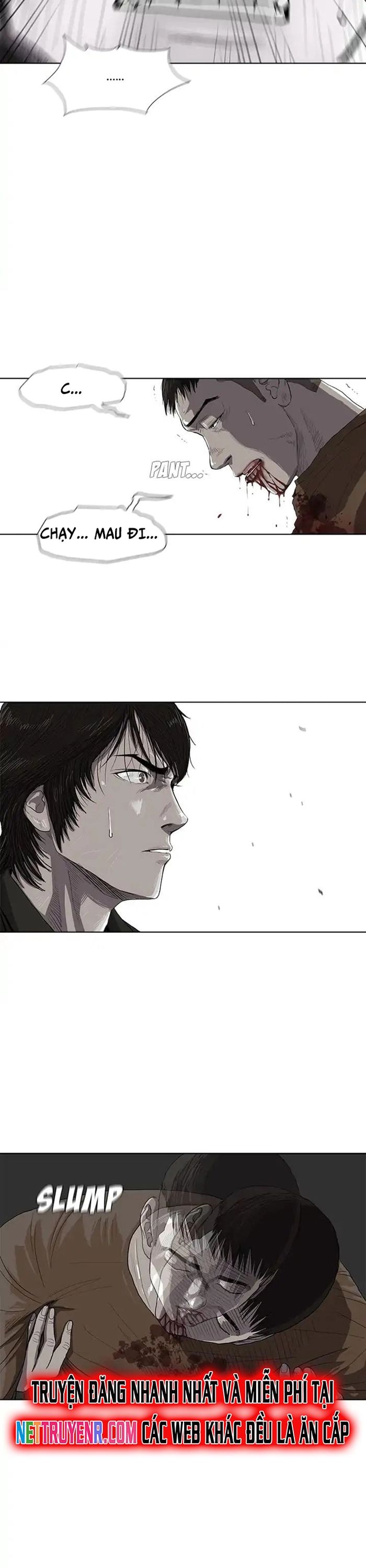 Miền Đất Xanh Chapter 3 - Trang 2