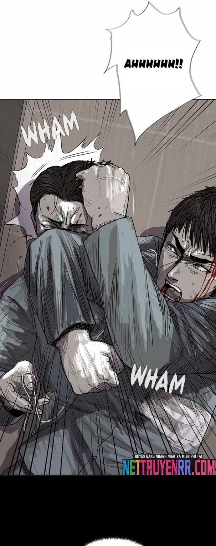 Miền Đất Xanh Chapter 16 - Trang 2