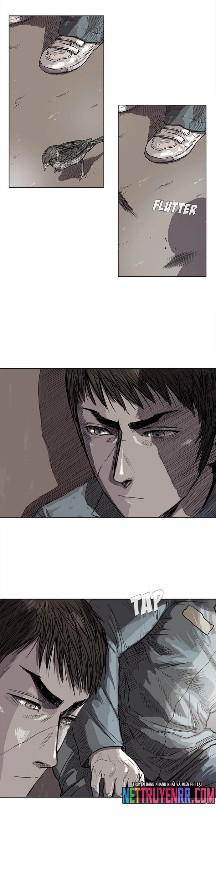 Miền Đất Xanh Chapter 16 - Trang 2