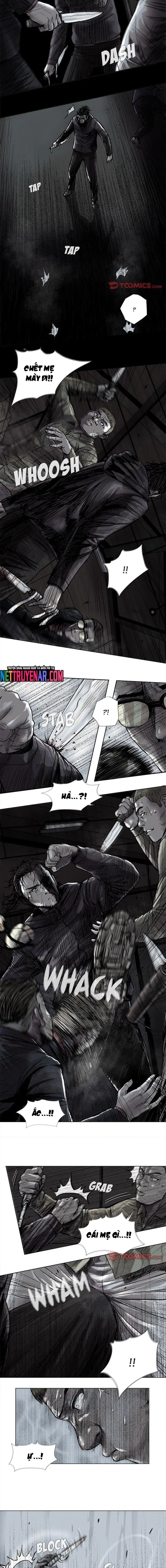 Miền Đất Xanh Chapter 46 - Trang 2