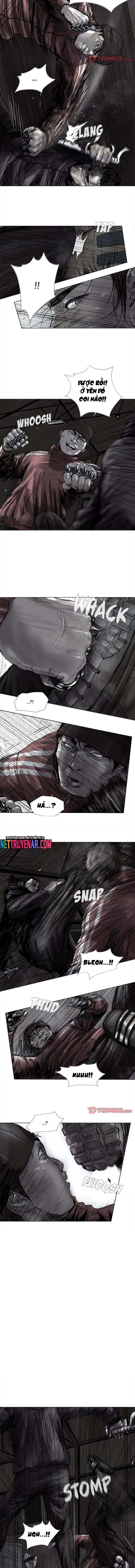 Miền Đất Xanh Chapter 47 - Trang 2