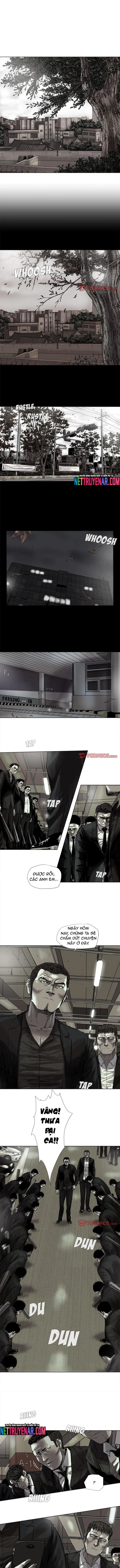 Miền Đất Xanh Chapter 50 - Trang 2