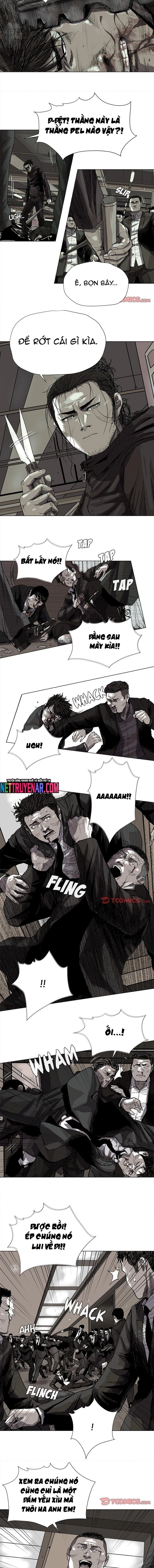 Miền Đất Xanh Chapter 58 - Trang 2