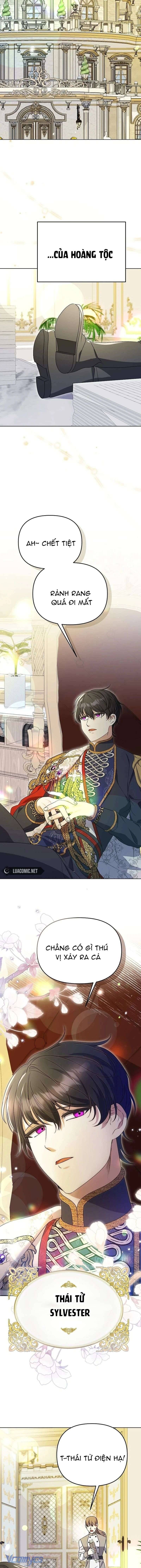 Cô Vợ Xấu Xí Của Công Tước Ám Muội Chapter 14 - Trang 2