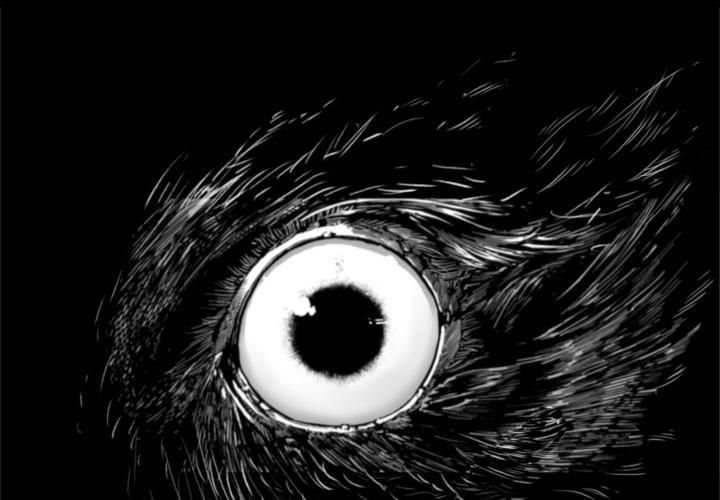 Hoàn Ác Vương Quyền Và Tự Do Chapter 2 - Trang 2