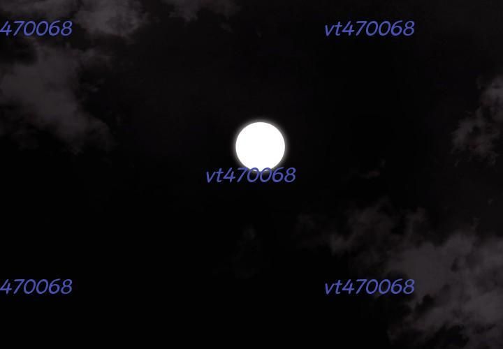 Hoàn Ác Vương Quyền Và Tự Do Chapter 12 - Trang 2