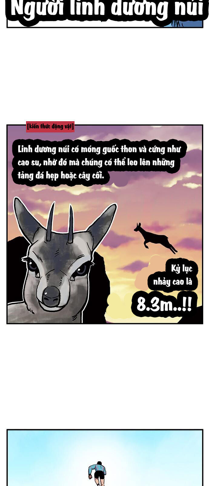 Chúa Tể Muôn Loài Chapter 11 - Trang 2