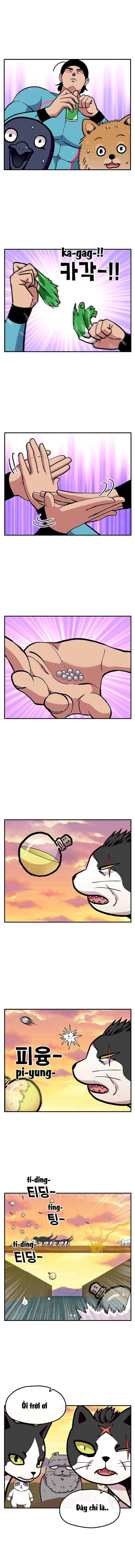 Chúa Tể Muôn Loài Chapter 27 - Trang 2