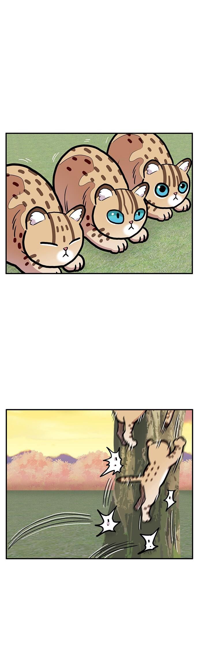 Chúa Tể Muôn Loài Chapter 35 - Trang 2