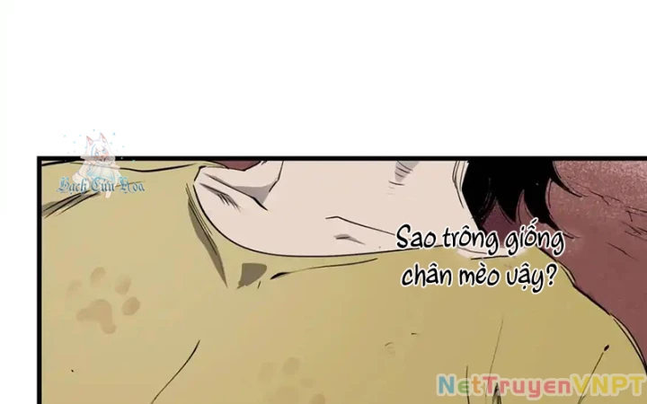 Tiêng Gọi Từ Muôn Loài Chapter 30 - Trang 2