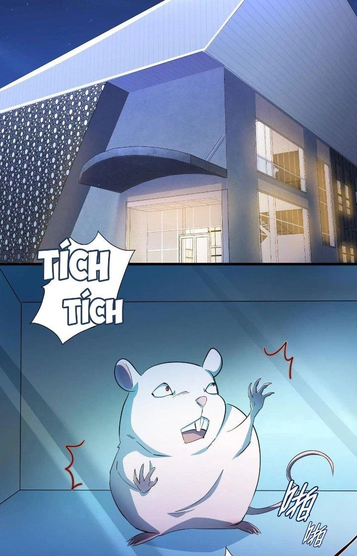 Đại Lão Nãy Có Chút Cẩu Thả, Náo Động Cả Thiên Khởi Chapter 27 - Trang 2