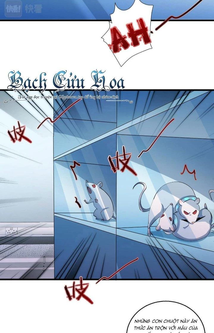 Đại Lão Nãy Có Chút Cẩu Thả, Náo Động Cả Thiên Khởi Chapter 27 - Trang 2