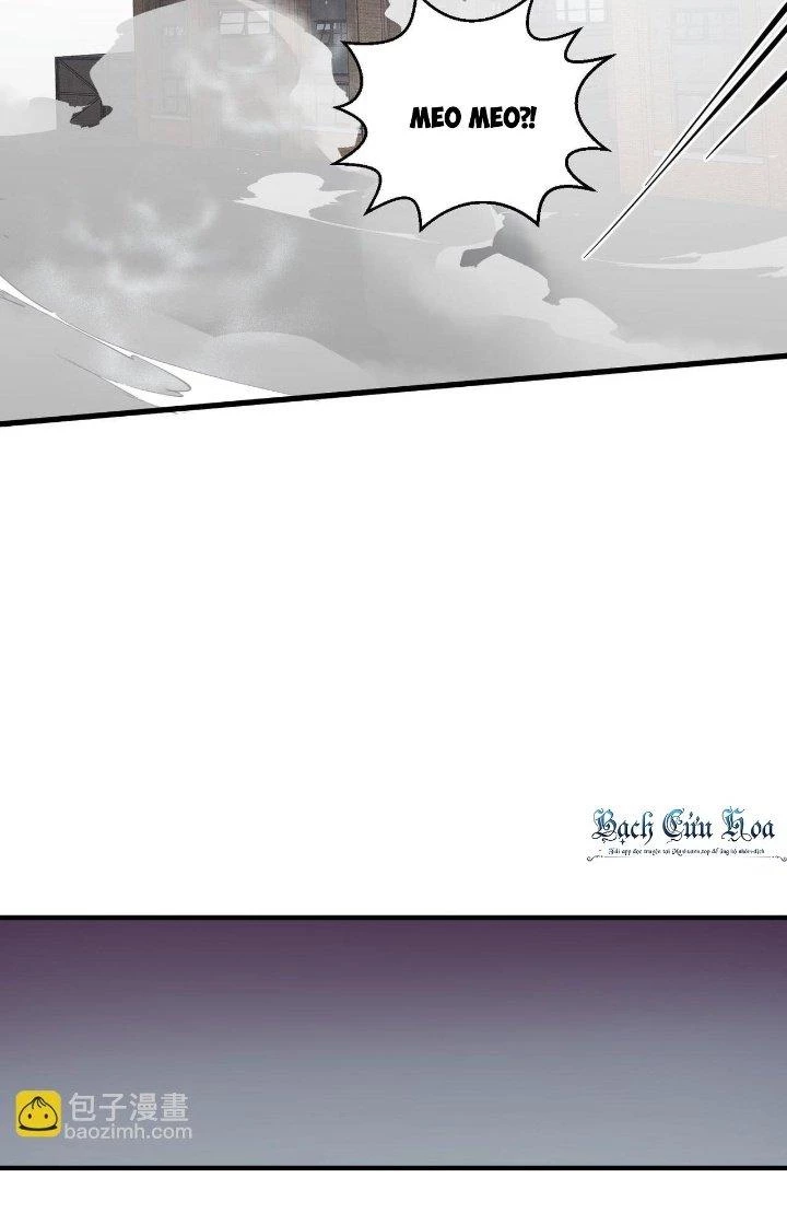 Đại Lão Nãy Có Chút Cẩu Thả, Náo Động Cả Thiên Khởi Chapter 28 - Trang 2