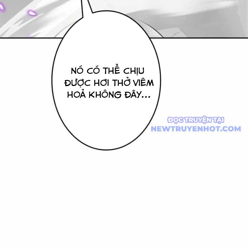 Chinh Phục Hầm Ngục Bằng Sao Chép Và Dán! Chapter 33 - Trang 2