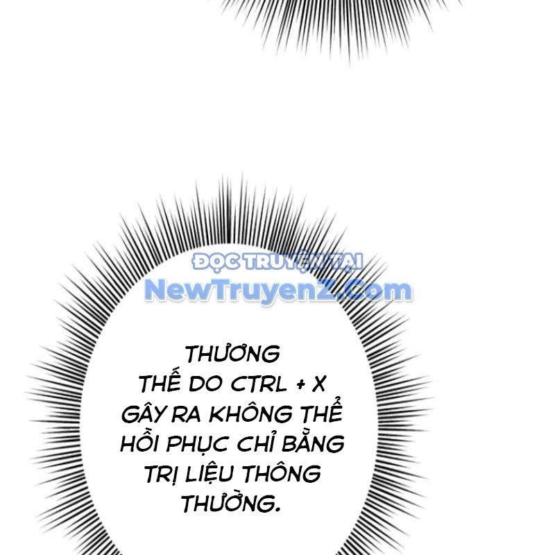 Chinh Phục Hầm Ngục Bằng Sao Chép Và Dán! Chapter 47 - Trang 2