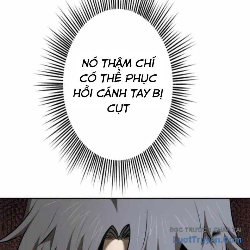 Chinh Phục Hầm Ngục Bằng Sao Chép Và Dán! Chapter 63 - Trang 2