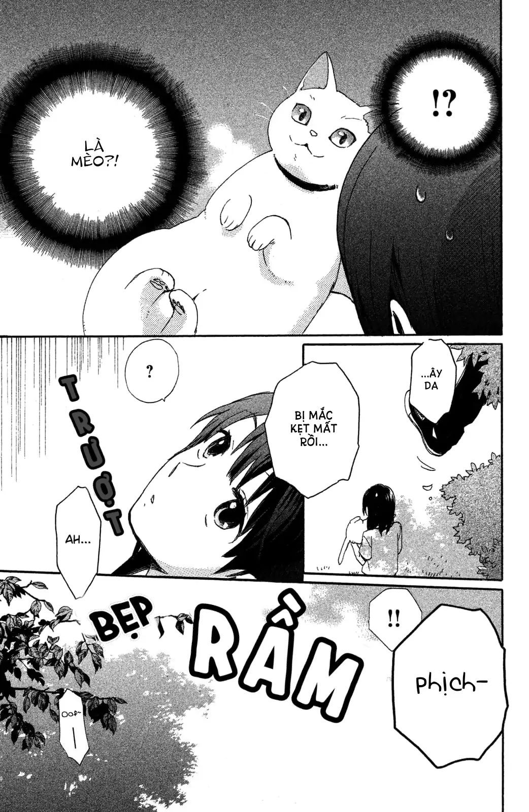 Hatsukoi, Futatabi Chapter 1 - Trang 2