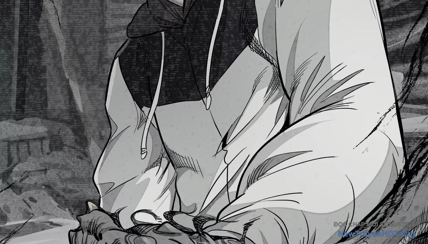 Thập Nhị Tinh – Dị Thú Mê Thành Chapter 33 - Trang 2