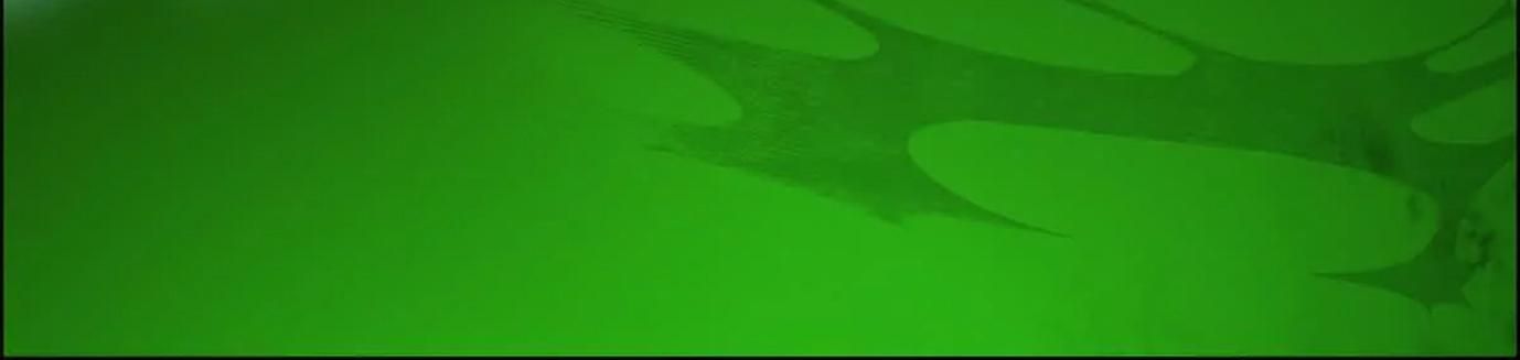 Thập Nhị Tinh – Dị Thú Mê Thành Chapter 74 - Trang 2