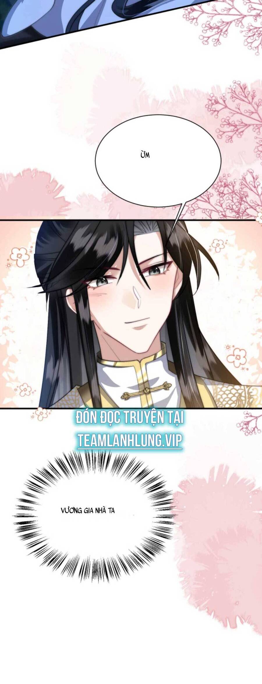 Nhiếp Chính Vương Bệnh Kiều Được Sủng Ái Chapter 65 - Trang 2