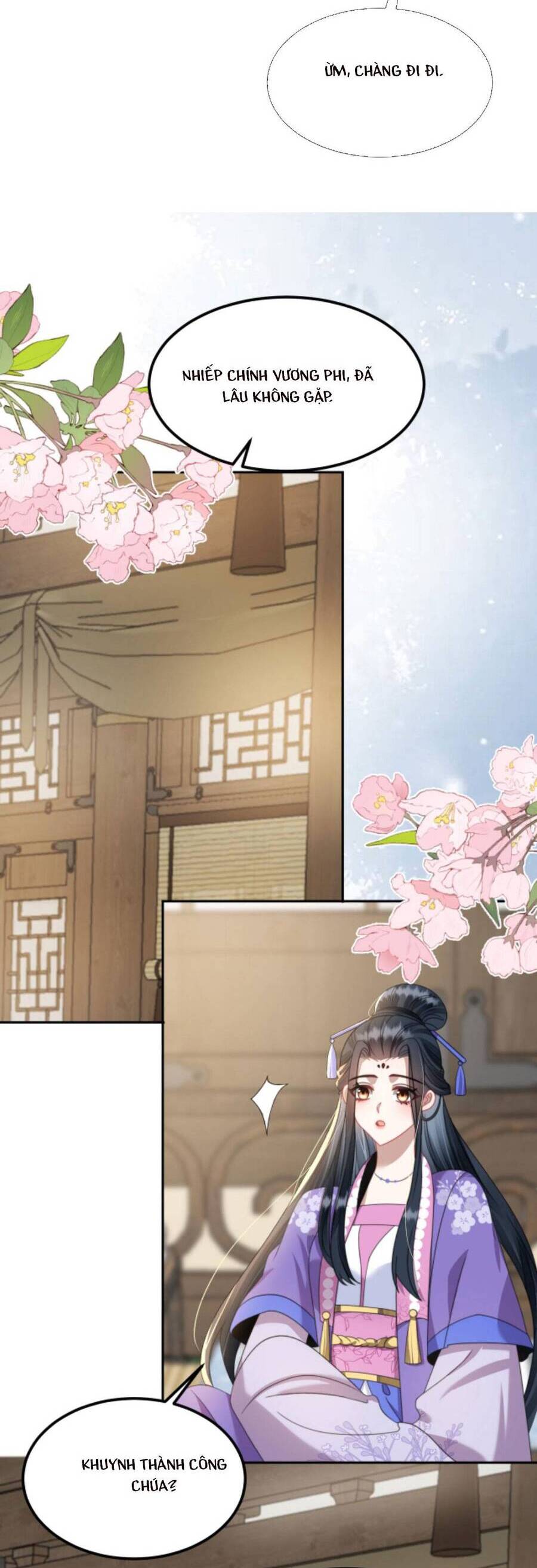 Nhiếp Chính Vương Bệnh Kiều Được Sủng Ái Chapter 132 - Trang 2