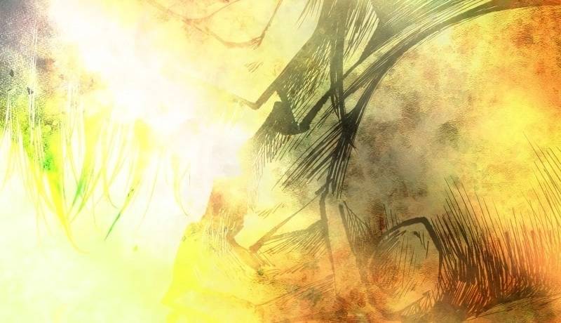 Ninja Tái Sinh : Hành Trình Của Fuuma Kotarou Để Lấy Lại Nhân Tính Chapter 4 - Trang 2