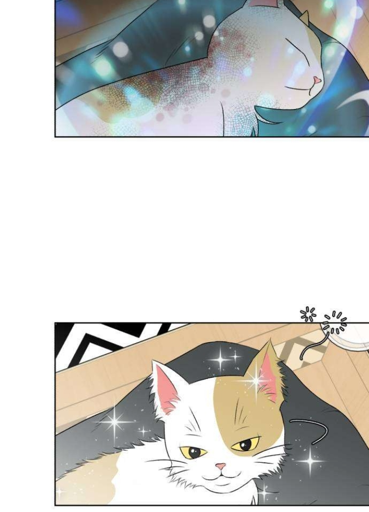 Khuôn Mặt Thiên Tài Chapter 0 - Trang 2