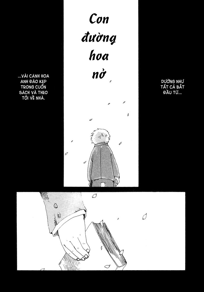 Mây Trắng Chapter 11 - Trang 2