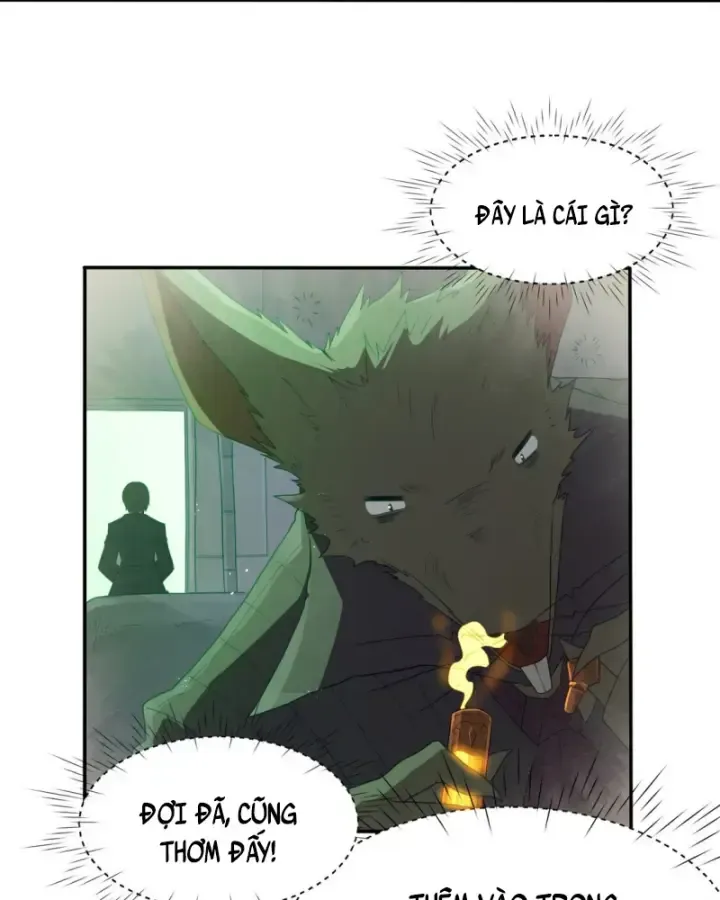 Luyện Kim Thuật Sĩ Tà Ác Không Trị Nổi Thể Thí Nghiệm Của Mình Chapter 1 - Trang 2