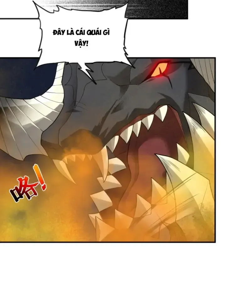 Luyện Kim Thuật Sĩ Tà Ác Không Trị Nổi Thể Thí Nghiệm Của Mình Chapter 5 - Trang 2