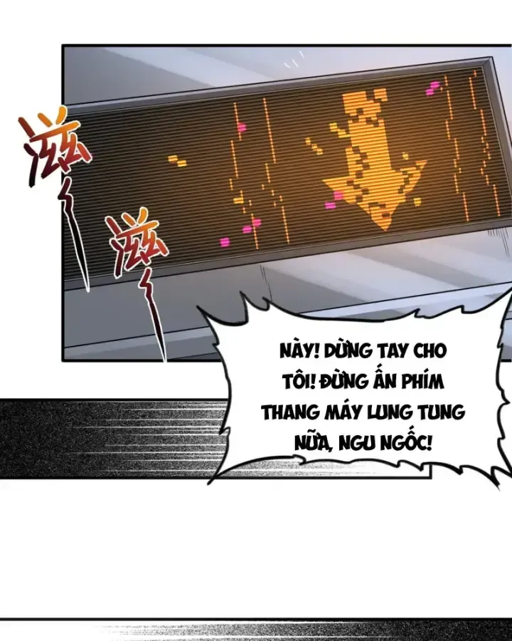 Luyện Kim Thuật Sĩ Tà Ác Không Trị Nổi Thể Thí Nghiệm Của Mình Chapter 5 - Trang 2