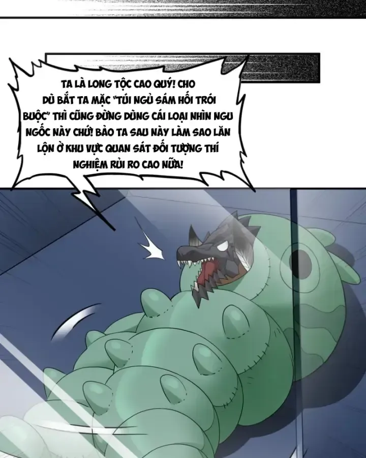 Luyện Kim Thuật Sĩ Tà Ác Không Trị Nổi Thể Thí Nghiệm Của Mình Chapter 5 - Trang 2