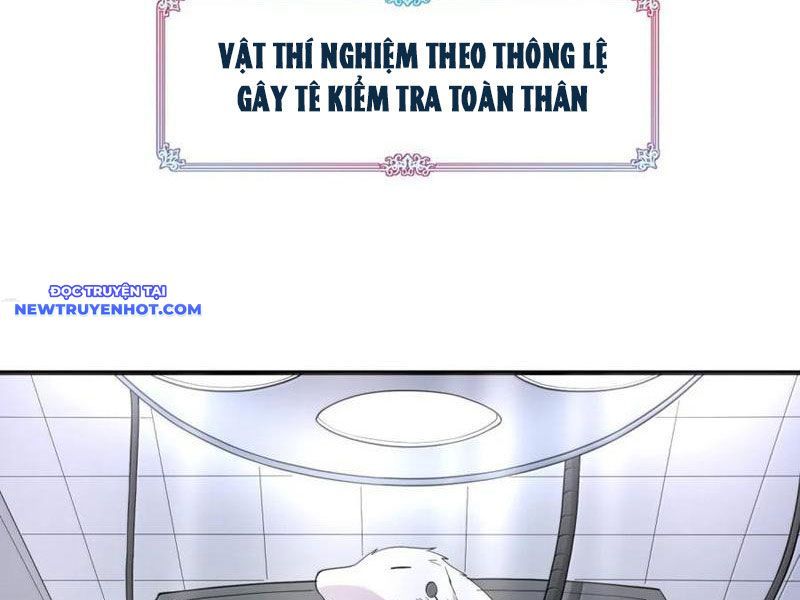 Luyện Kim Thuật Sĩ Tà Ác Không Trị Nổi Thể Thí Nghiệm Của Mình Chapter 16 - Trang 2