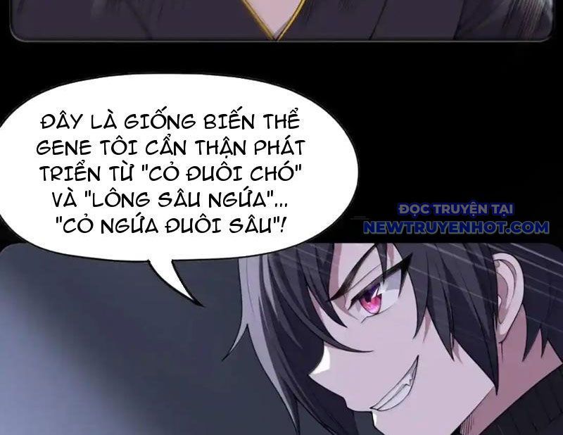 Luyện Kim Thuật Sĩ Tà Ác Không Trị Nổi Thể Thí Nghiệm Của Mình Chapter 24 - Trang 2