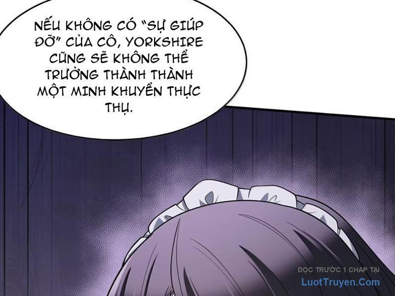 Luyện Kim Thuật Sĩ Tà Ác Không Trị Nổi Thể Thí Nghiệm Của Mình Chapter 55 - Trang 2