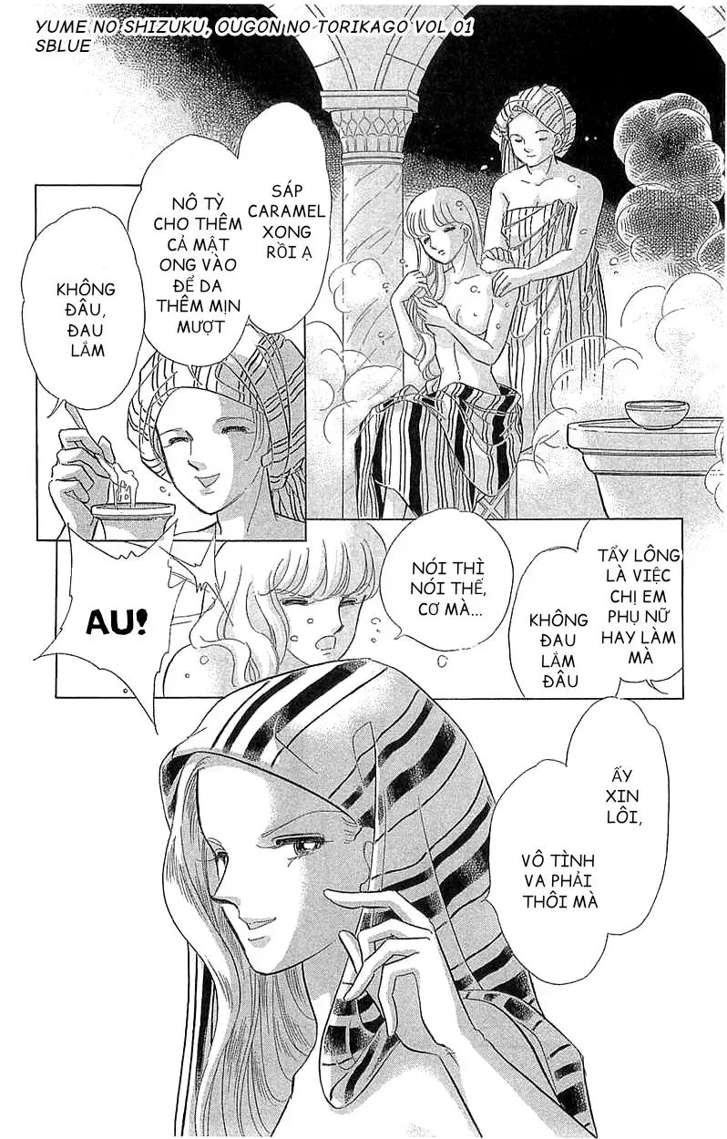Tàn Dư Mộng Ước, Lồng Chim Hoàng Kim Chapter 4 - Trang 2