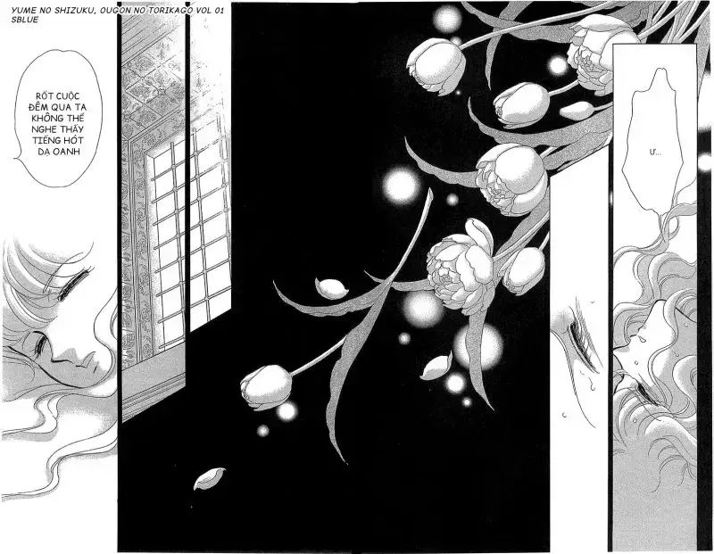 Tàn Dư Mộng Ước, Lồng Chim Hoàng Kim Chapter 5 - Trang 2