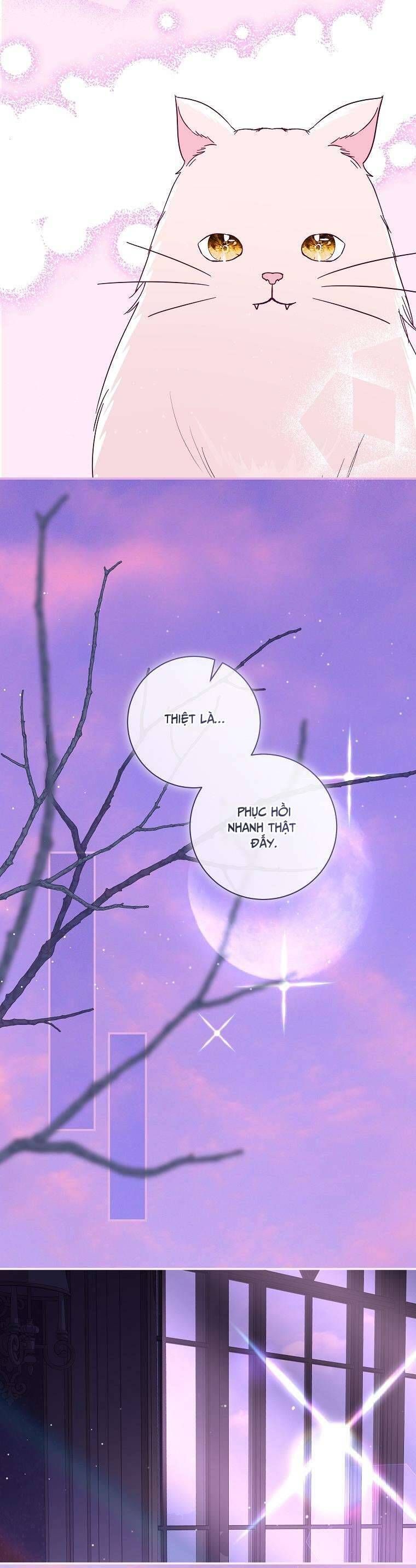 Phản Diện À, Tôi Sẽ Làm Mọi Thứ Cho Anh Trừ Kết Hôn Nhé! Chapter 36 - Trang 2