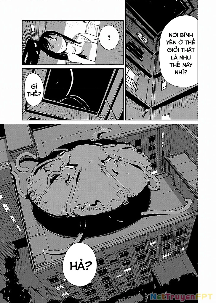 Mê Cung Triệu Chiếu Chapter 11 - Trang 2