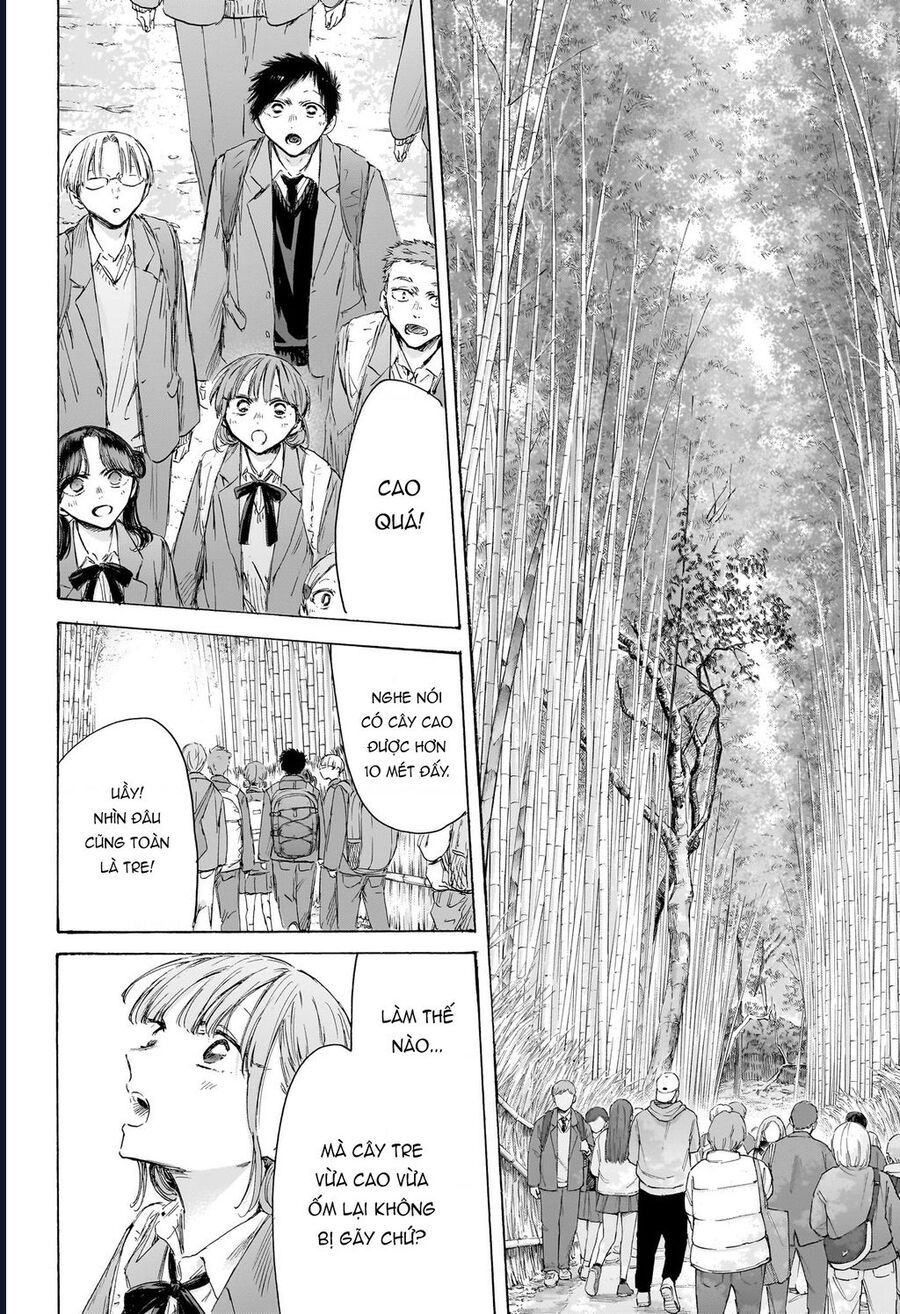 Blue Box Chapter 204 - Trang 2