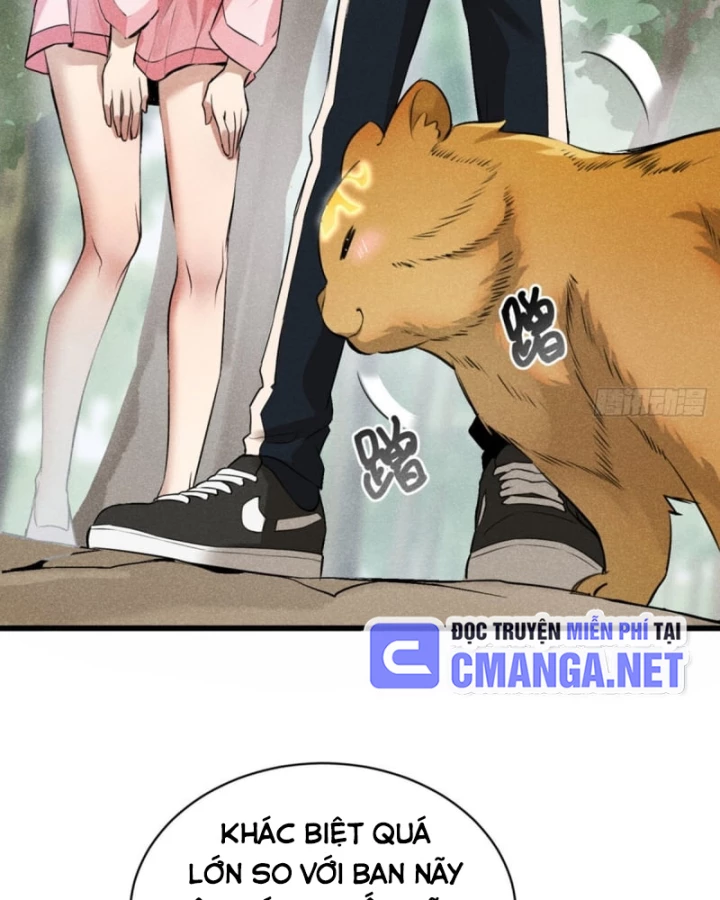 Dị Thú Của Ta Chỉ Có Trăm Triệu Điểm Cao Chapter 5 - Trang 2