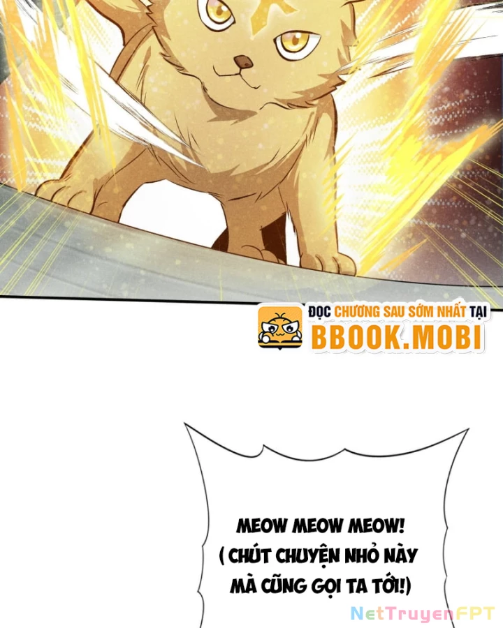 Dị Thú Của Ta Chỉ Có Trăm Triệu Điểm Cao Chapter 28 - Trang 2