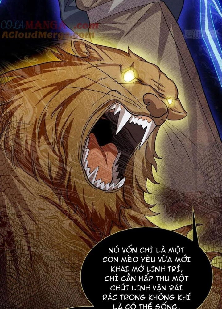 Dị Thú Của Ta Chỉ Có Trăm Triệu Điểm Cao Chapter 41 - Trang 2