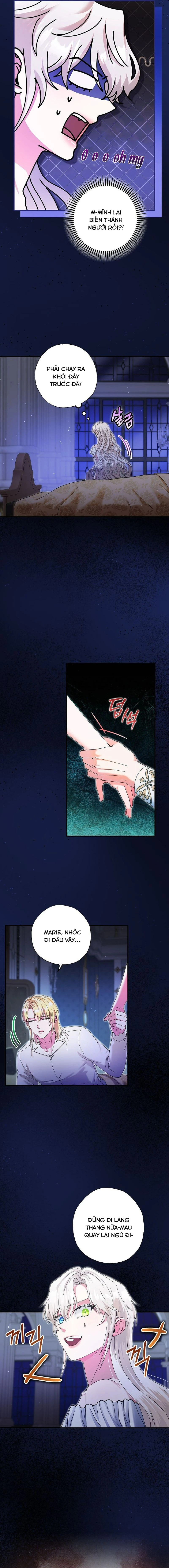 Trở Thành Miêu Nữ Của Hoàng Đế Chapter 33 - Trang 2