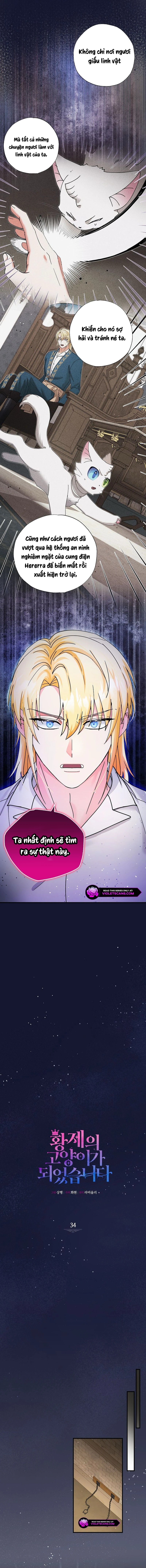 Trở Thành Miêu Nữ Của Hoàng Đế Chapter 34 - Trang 2