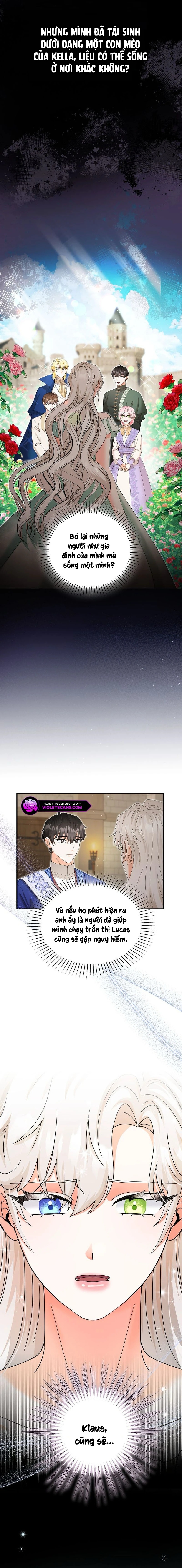 Trở Thành Miêu Nữ Của Hoàng Đế Chapter 34 - Trang 2