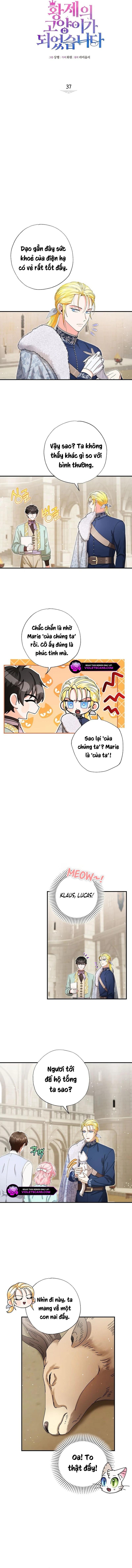 Trở Thành Miêu Nữ Của Hoàng Đế Chapter 37 - Trang 2